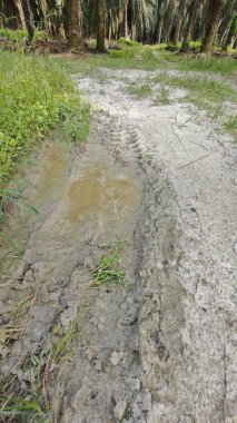 Tarımsal araziye kırsal geçiş perspektifi azalıyor