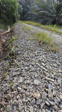 Tarımsal araziye kırsal geçiş perspektifi azalıyor