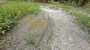 Tarımsal araziye kırsal geçiş perspektifi azalıyor