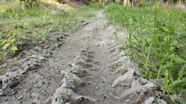 Tarımsal araziye kırsal geçiş perspektifi azalıyor