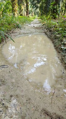 Tarımsal araziye kırsal geçiş perspektifi azalıyor