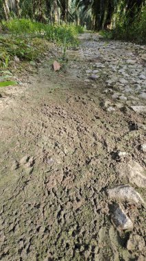 Tarımsal araziye kırsal geçiş perspektifi azalıyor