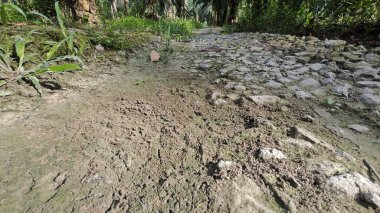 Tarımsal araziye kırsal geçiş perspektifi azalıyor