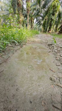 Tarımsal araziye kırsal geçiş perspektifi azalıyor