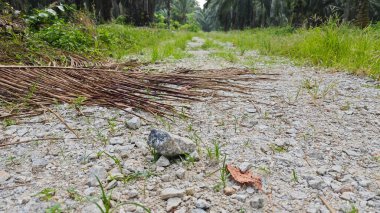 Tarımsal araziye kırsal geçiş perspektifi azalıyor