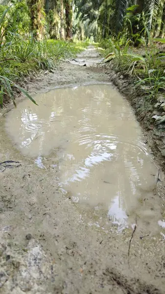 Tarımsal araziye kırsal geçiş perspektifi azalıyor