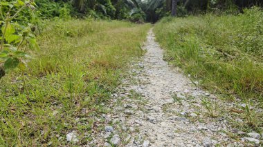 Tarımsal araziye kırsal geçiş perspektifi azalıyor