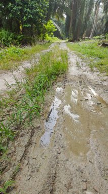 Tarımsal araziye kırsal geçiş perspektifi azalıyor