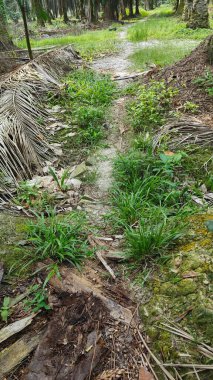 Tarımsal araziye kırsal geçiş perspektifi azalıyor