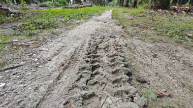 Tarımsal araziye kırsal geçiş perspektifi azalıyor