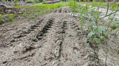 Tarımsal araziye kırsal geçiş perspektifi azalıyor