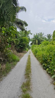 Tarımsal araziye kırsal geçiş perspektifi azalıyor
