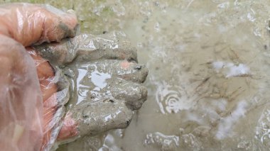 Kuruyan durgun yağmur suyu havuzunun bulanık yüzeyinde yüzen iribaşlar..