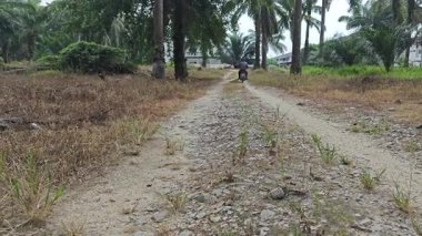 Perak,Malaysia. September 28,2025: A motorist riding towards the distance rural horizon pathway into the Sitiawan residentail housing area.