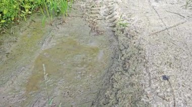 landscape view of the diminishing perspective rural pathway into the agriculture land 