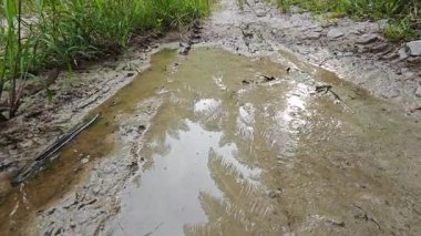 landscape view of the diminishing perspective rural pathway into the agriculture land 