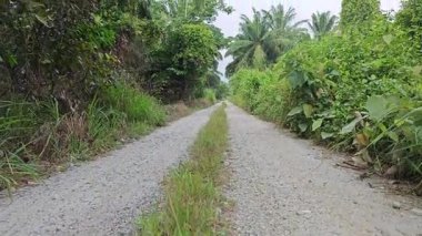 landscape view of the diminishing perspective rural pathway into the agriculture land 