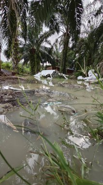 Kırsal toprak yolda sağanak yağış sonrasında durgun su havuzu yansıtıyor. 