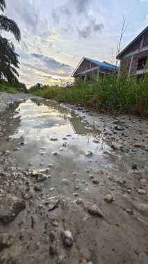 Kırsal toprak yolda sağanak yağış sonrasında durgun su havuzu yansıtıyor. 