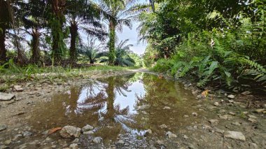 Kırsal toprak yolda sağanak yağış sonrasında durgun su havuzu yansıtıyor. 