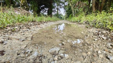 Kırsal toprak yolda sağanak yağış sonrasında durgun su havuzu yansıtıyor. 
