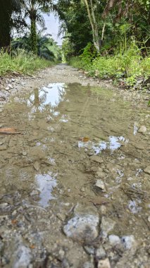 Kırsal toprak yolda sağanak yağış sonrasında durgun su havuzu yansıtıyor. 