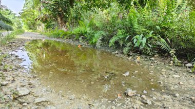Kırsal toprak yolda sağanak yağış sonrasında durgun su havuzu yansıtıyor. 
