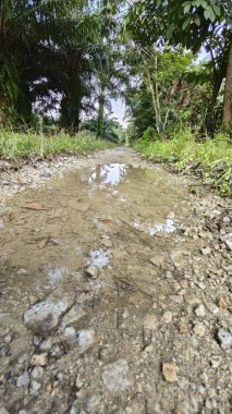 Kırsal toprak yolda sağanak yağış sonrasında durgun su havuzu yansıtıyor. 