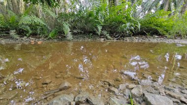 Kırsal toprak yolda sağanak yağış sonrasında durgun su havuzu yansıtıyor. 