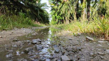 Kırsal toprak yolda sağanak yağış sonrasında durgun su havuzu yansıtıyor. 