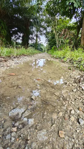 Kırsal toprak yolda sağanak yağış sonrasında durgun su havuzu yansıtıyor. 