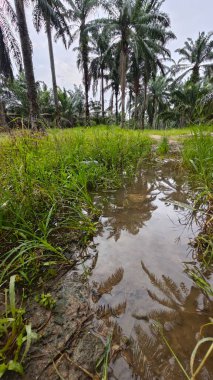 Kırsal toprak yolda sağanak yağış sonrasında durgun su havuzu yansıtıyor. 