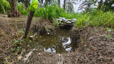 Kırsal kanallardan akan su ve palmiye yağı tarlalarındaki drenaj sistemi..