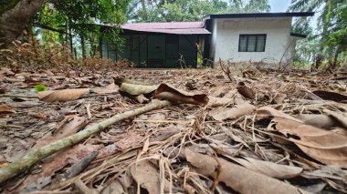 Tarımsal araziye giden kırsal yolun giderek azalan perspektifinin düşük açılı görüntüsü 