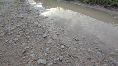 Kırsal toprak yolda sağanak yağış sonrasında durgun su havuzu yansıtıyor. 