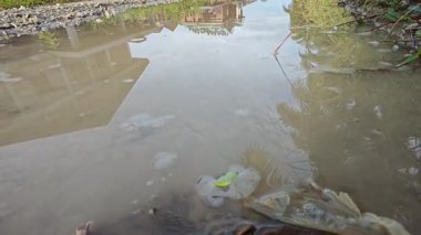 Kırsal toprak yolda sağanak yağış sonrasında durgun su havuzu yansıtıyor. 