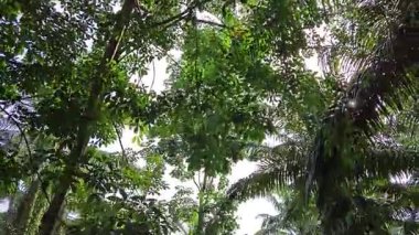 Kırsal toprak yolda sağanak yağış sonrasında durgun su havuzu yansıtıyor. 