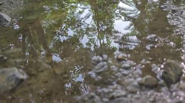 Kırsal toprak yolda sağanak yağış sonrasında durgun su havuzu yansıtıyor. 