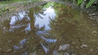 Kırsal toprak yolda sağanak yağış sonrasında durgun su havuzu yansıtıyor. 