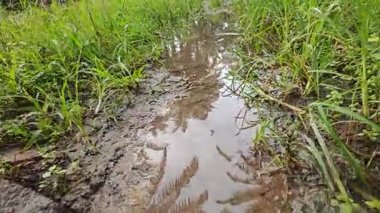 Çiftliğe giden kırsal yolun azalan perspektifinin düşük açılı görüntüsü 