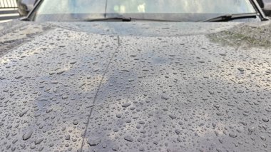 different sizes and shapes of the condensation formation bubbles on the black shiny car surface.