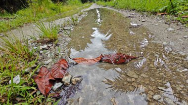 Kırsal toprak yolda sağanak yağış sonrasında durgun su havuzu yansıtıyor.