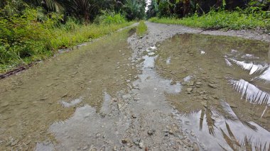 Kırsal toprak yolda sağanak yağış sonrasında durgun su havuzu yansıtıyor.