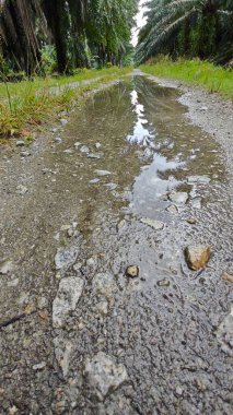 Kırsal toprak yolda sağanak yağış sonrasında durgun su havuzu yansıtıyor.
