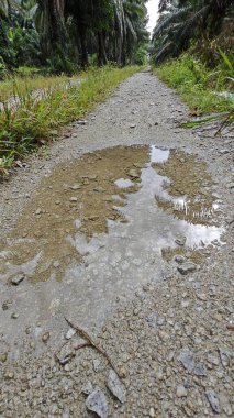 Kırsal toprak yolda sağanak yağış sonrasında durgun su havuzu yansıtıyor.