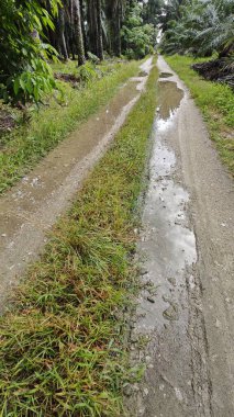 Kırsal toprak yolda sağanak yağış sonrasında durgun su havuzu yansıtıyor.