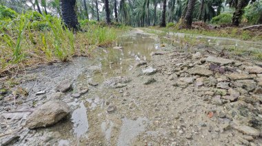 Kırsal toprak yolda sağanak yağış sonrasında durgun su havuzu yansıtıyor.
