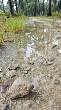 Kırsal toprak yolda sağanak yağış sonrasında durgun su havuzu yansıtıyor.