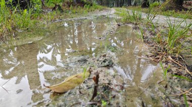 Kırsal toprak yolda sağanak yağış sonrasında durgun su havuzu yansıtıyor.