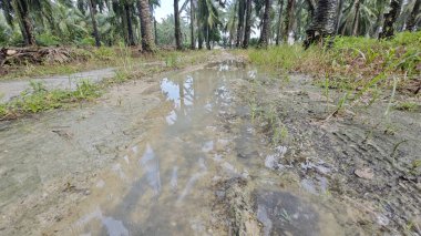 Kırsal toprak yolda sağanak yağış sonrasında durgun su havuzu yansıtıyor.